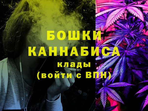 стафф Нестеровская