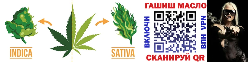 Дистиллят ТГК THC oil  blacksprut   Бабушкин  где найти  